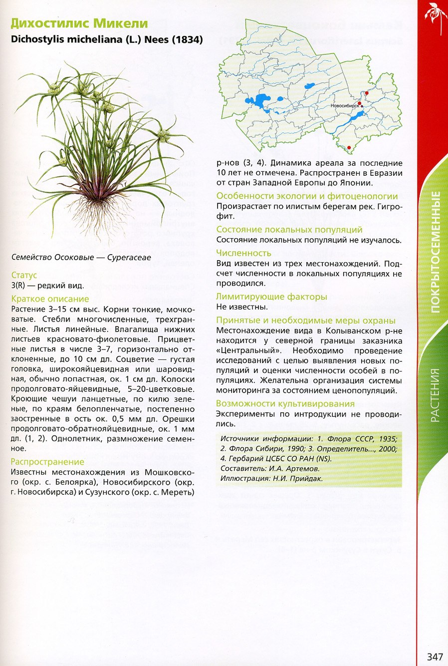 Сыть микели