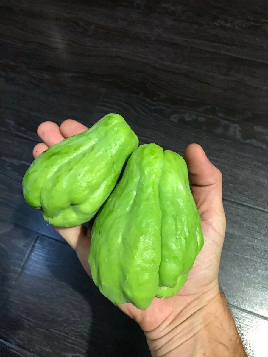 Мексиканский овощ чайот