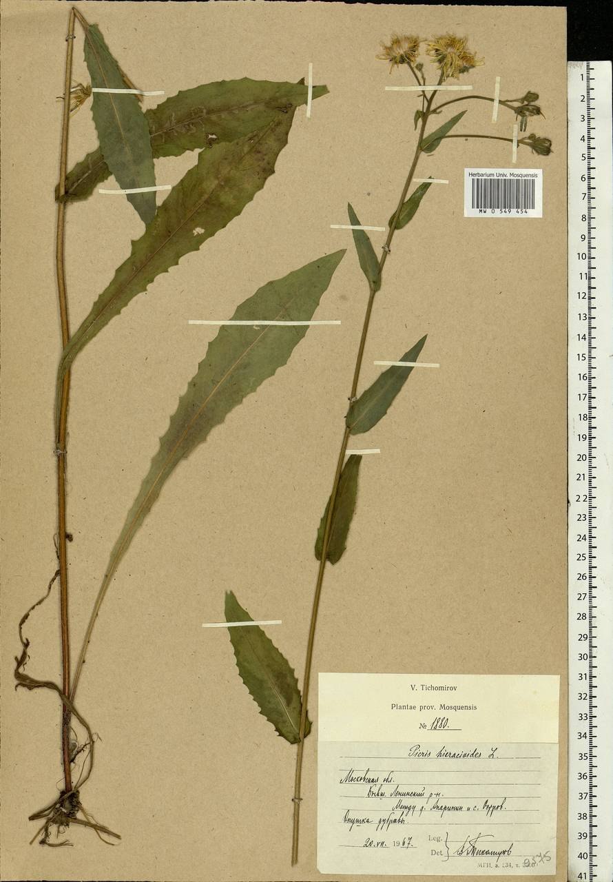 Горлюха малоцветковая