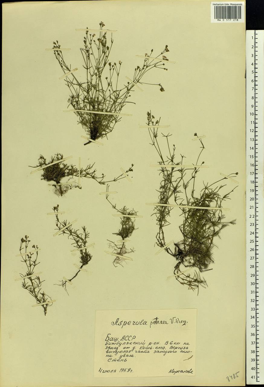 Пахучие Острожки