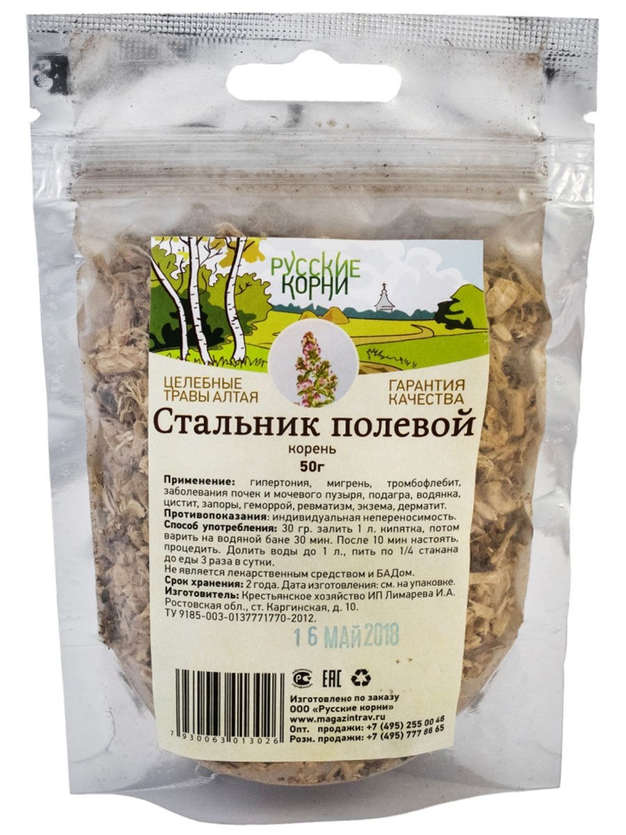 Стальник полевой гербарий