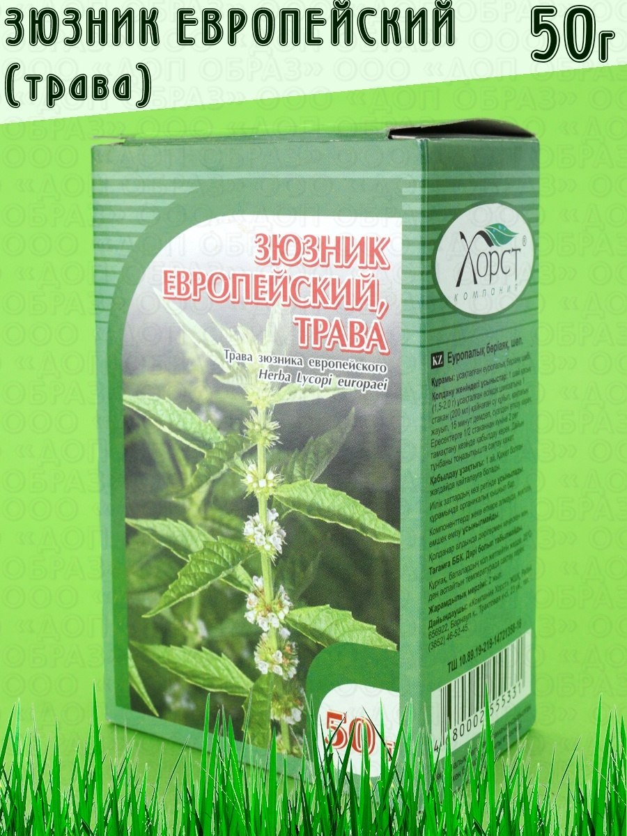 Зюзник виргинский
