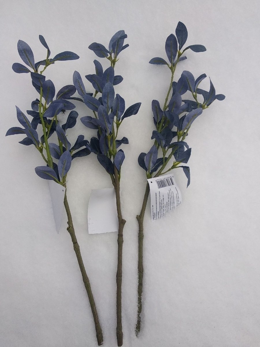 Rhodomyrtus tomentosa