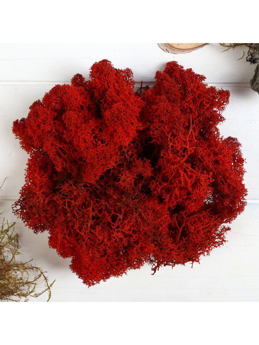 Ягель стабилизированный