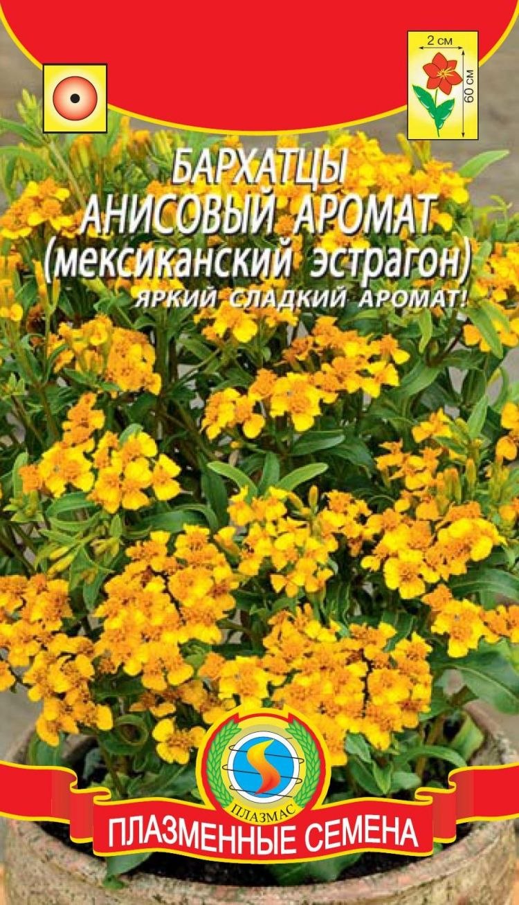 Бархатцы Гавайи