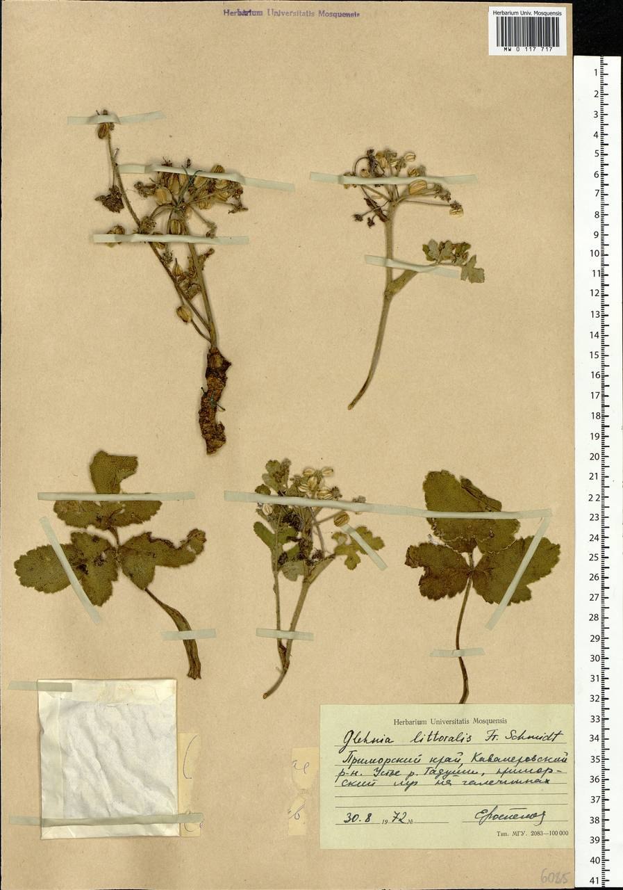 Прибрежная Пульперия -это