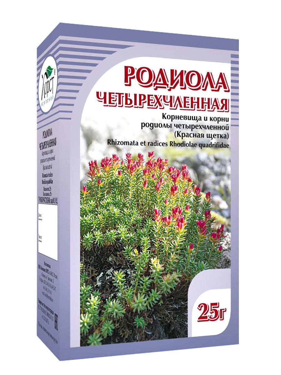 Rhodiola coccinea