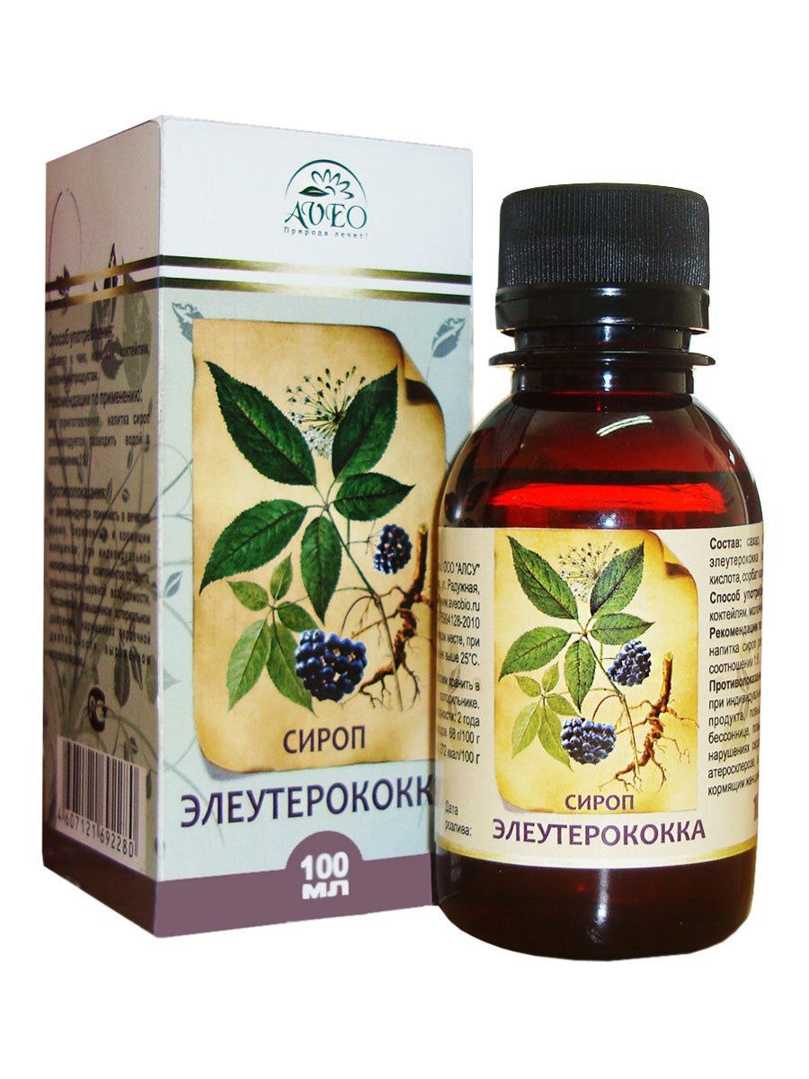 Элеутерококк колючий цветение