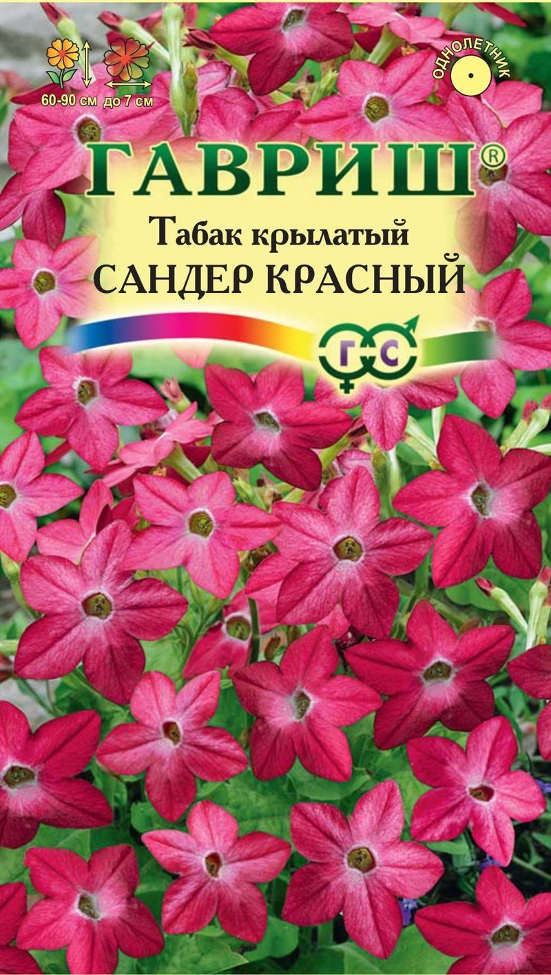 Табак крылатый (Nicotiana alata)