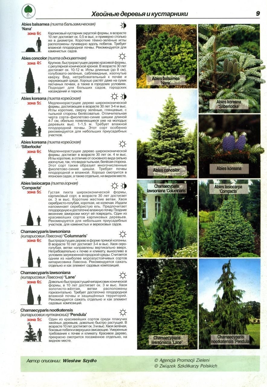 Домашнее задание по биологии