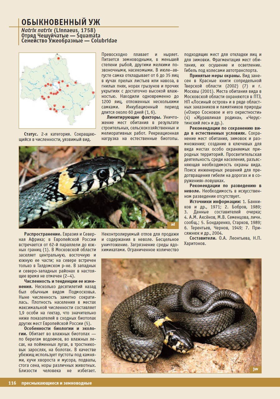 Растения красной книги подмосковья