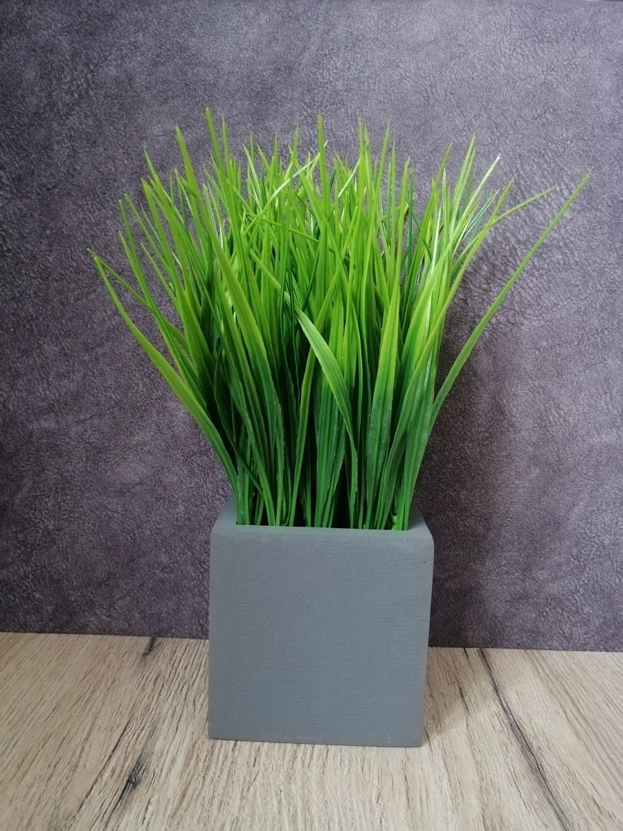 Осока в оазисе