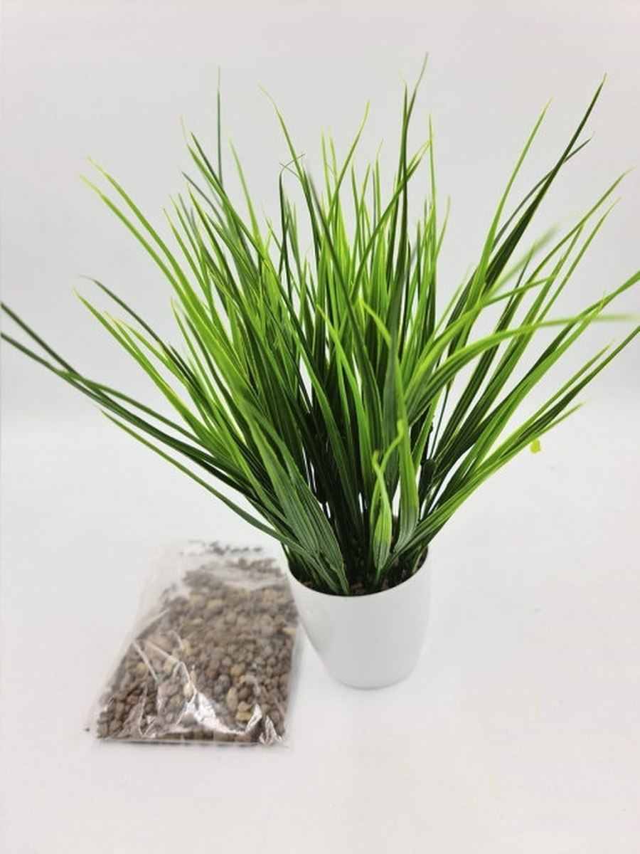 Щучка дернистая Bronzeschleier