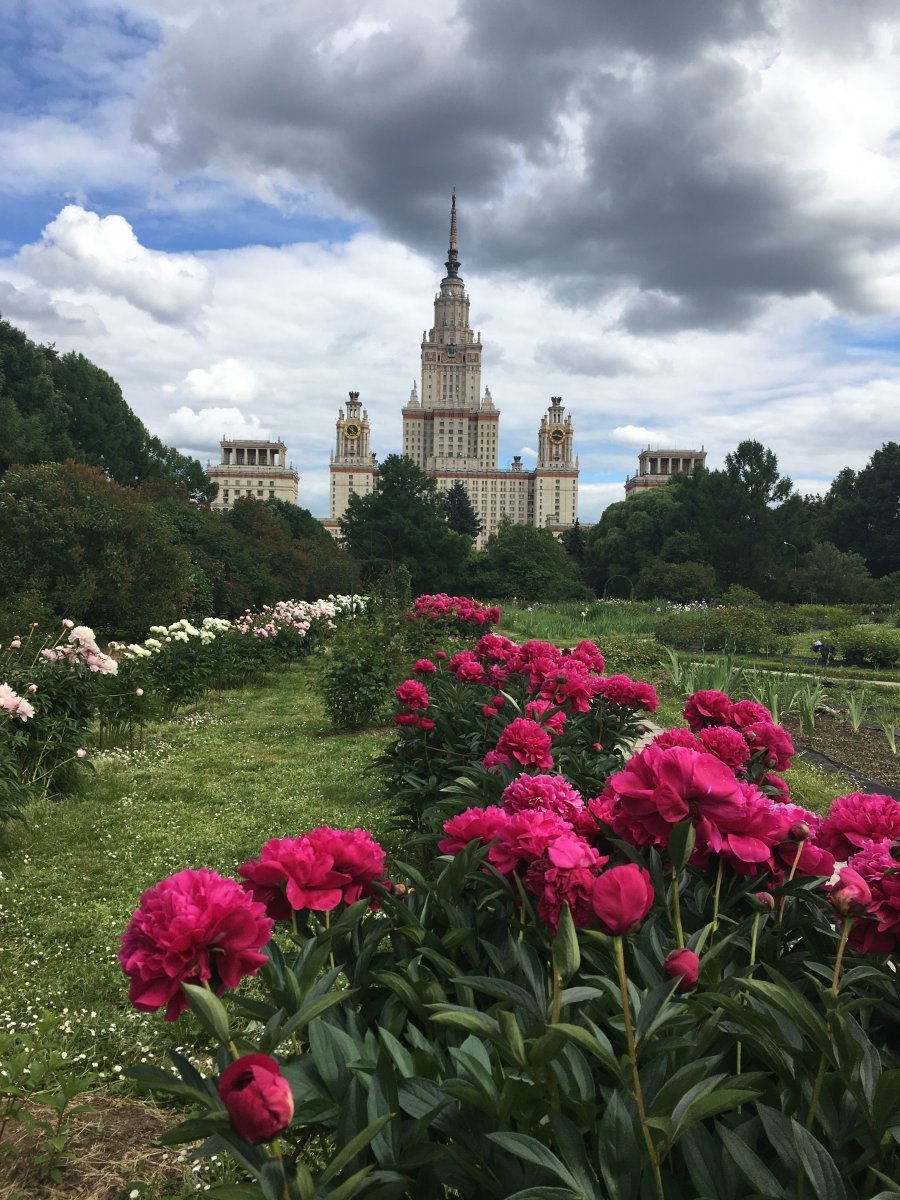 Ботанический сад МГУ