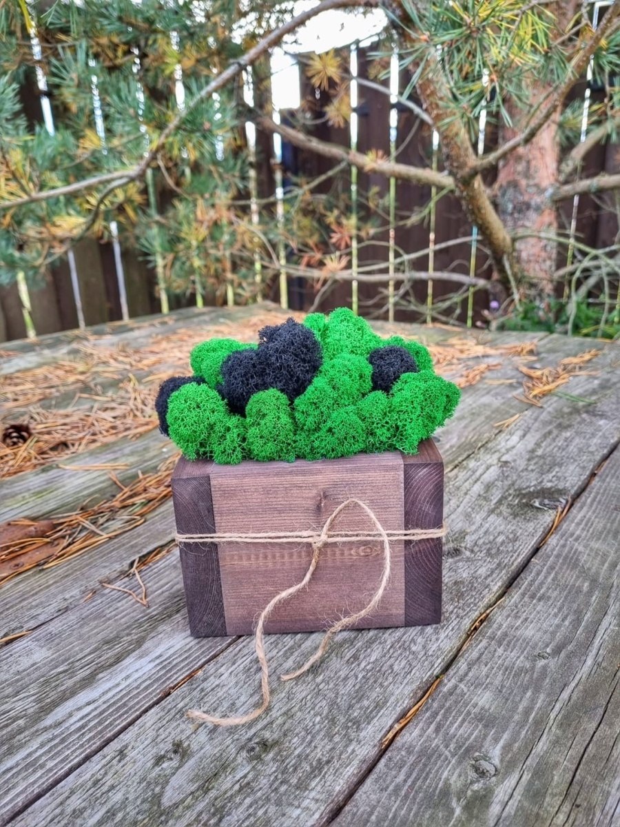 Святовский мох остров