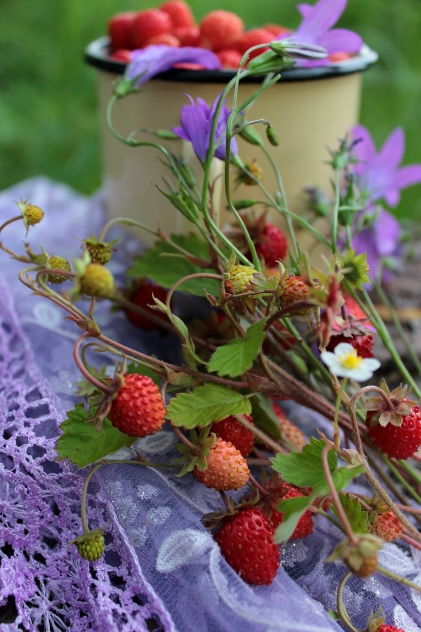 Цветочки ягодки