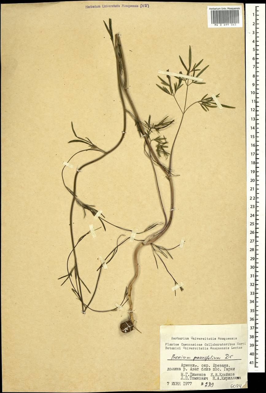 Кумин молотый (Зира) 250 гр.