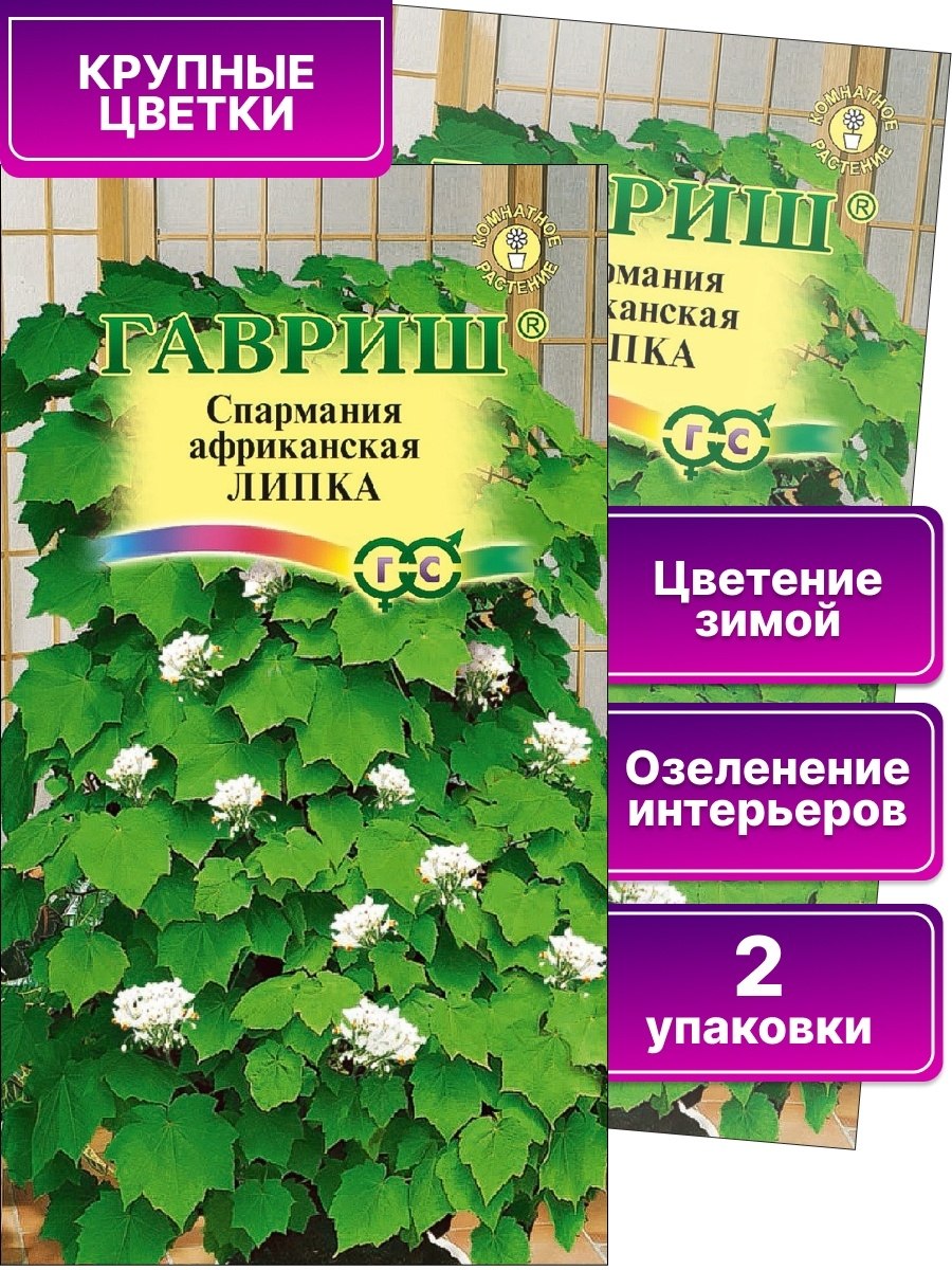 Руккола всходы после посадки