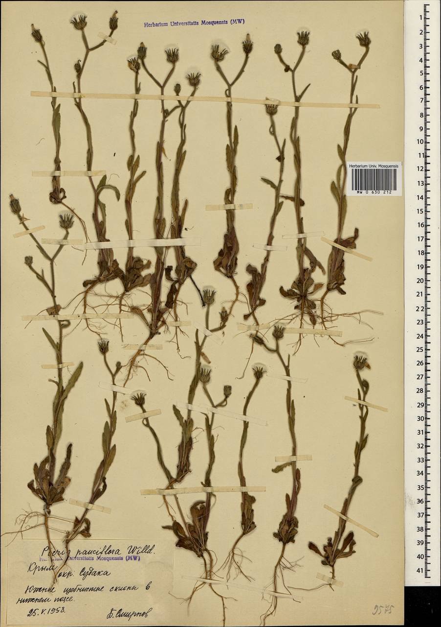 Малоцветковая кисть