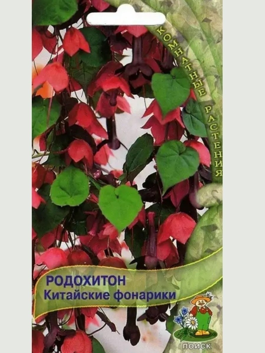 Долихос Лиана