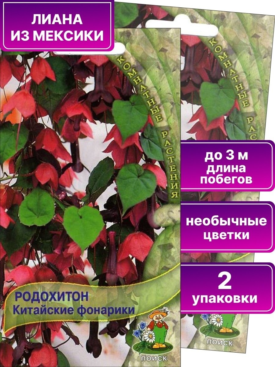 Азарина (Маурандия)