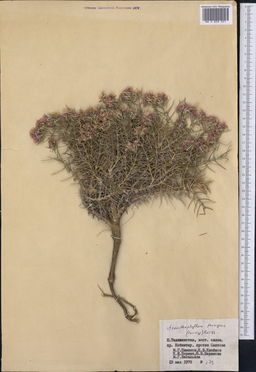 Карбюратор leader pz19jb