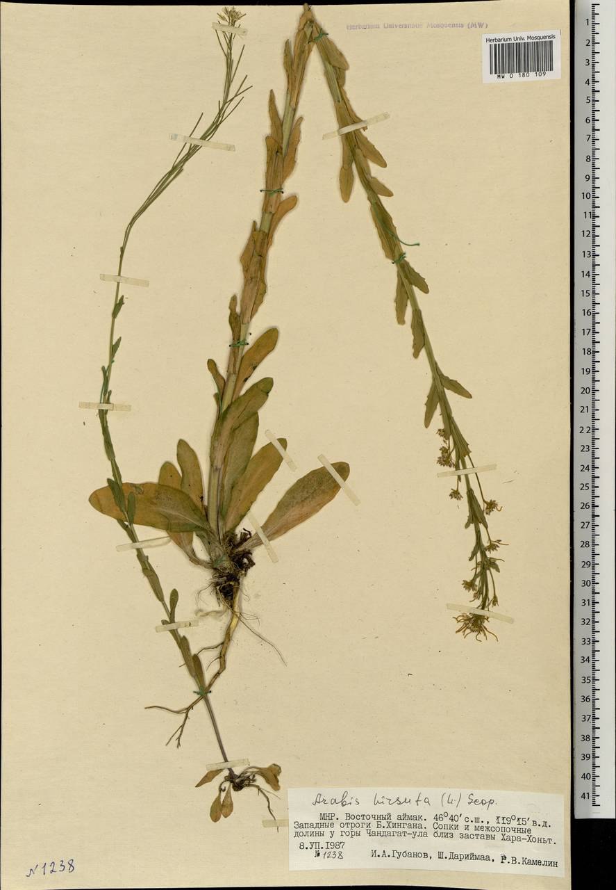 Разреженная растительность это