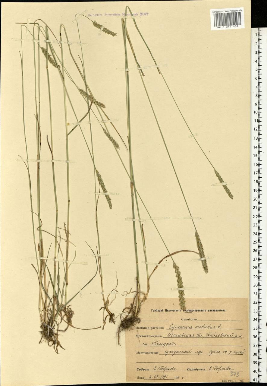 Художница фотограф Анна