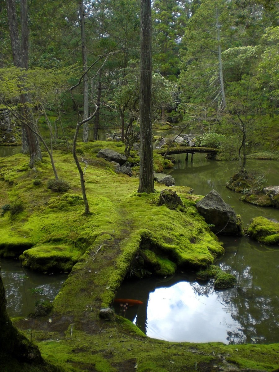 Женщина в тревоге
