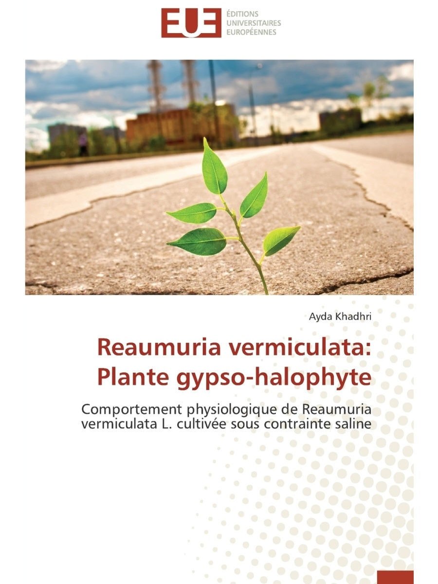 Мелалеука очереднолистная