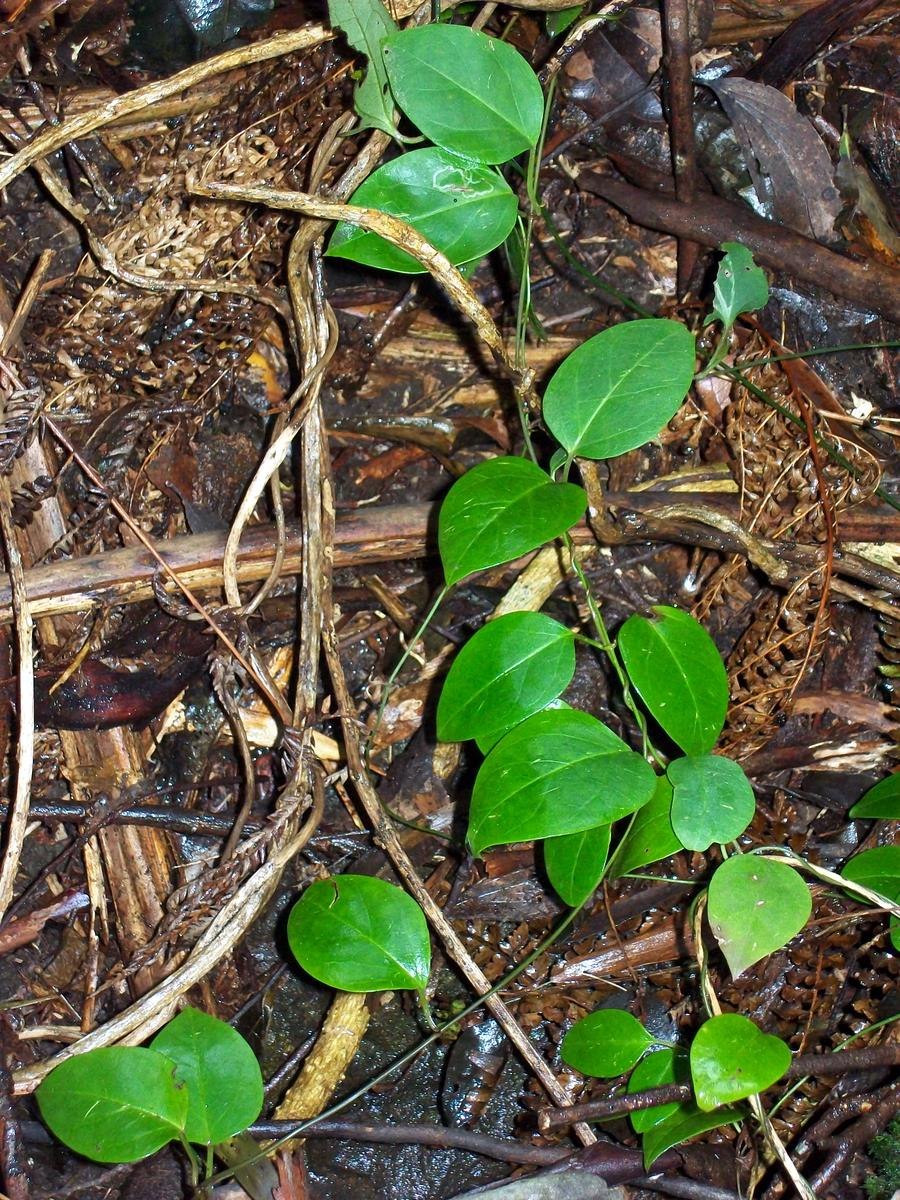 Алюминий 0881 pe