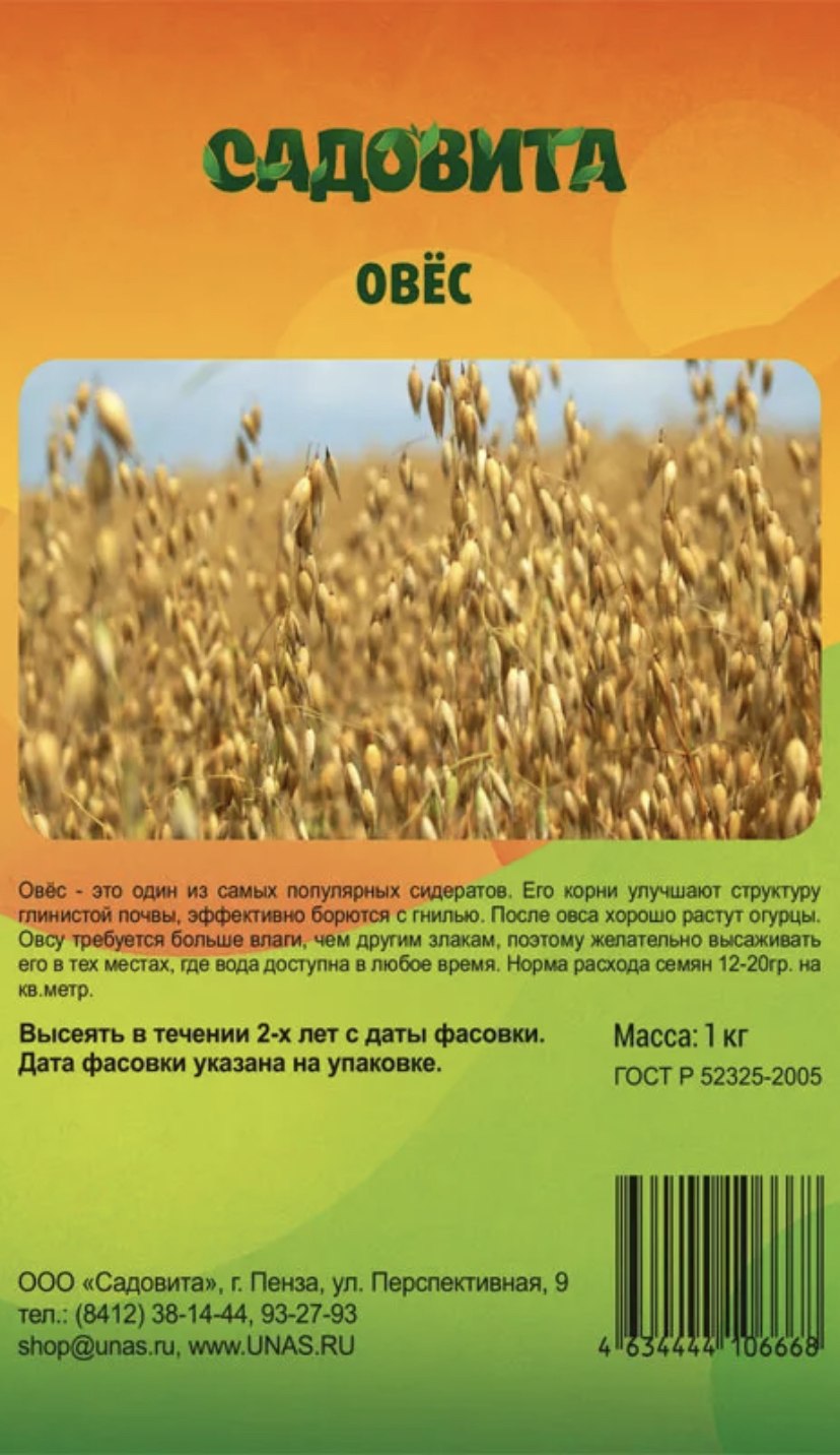 Овес сидерат