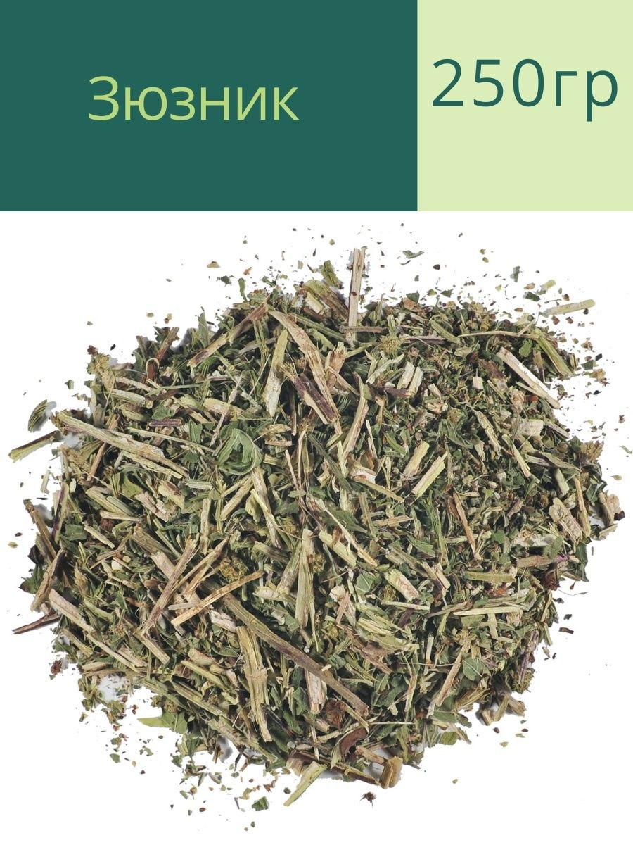 Зюзник Европейский (чистец).