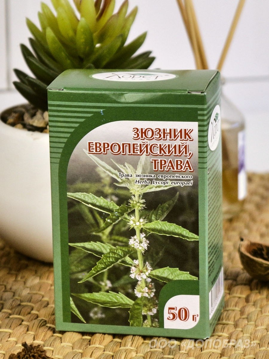 Зюзник европейский