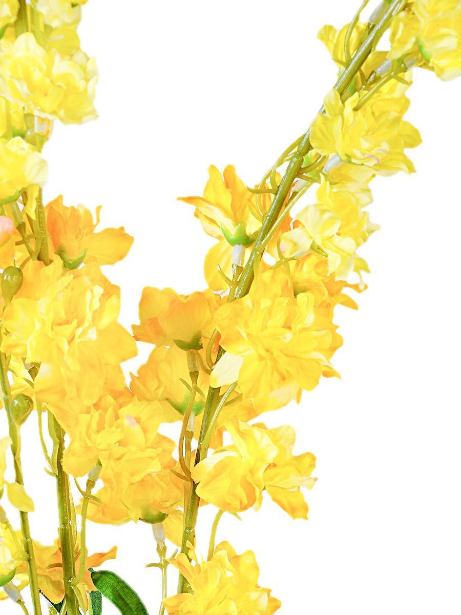 Дельфиниумы Шотландские гибриды