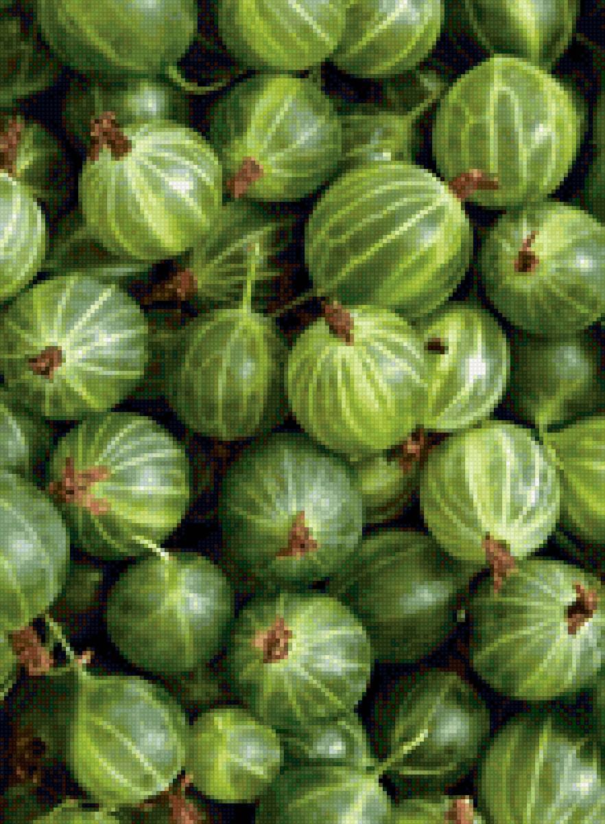 Звездчатый крыжовник