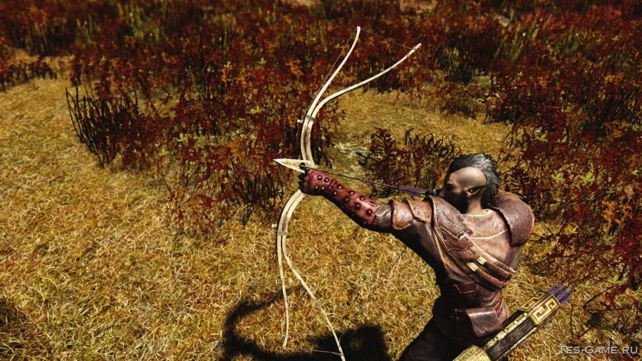 Репчатый лук это корнеплод