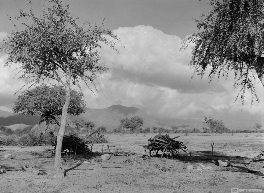 Национальный парк серенгети танзания