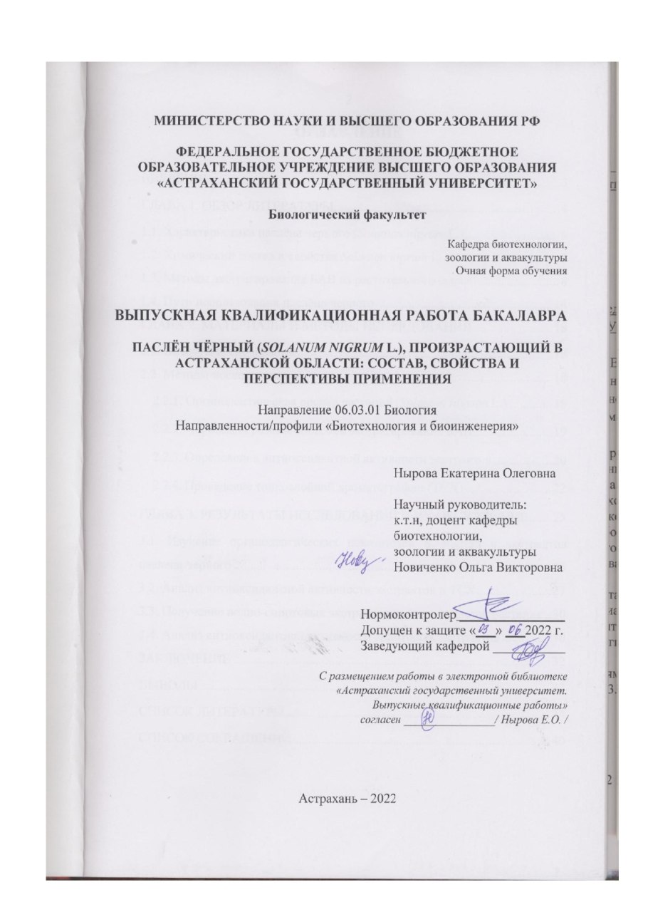 Выпускная квалификационная работа бакалавра