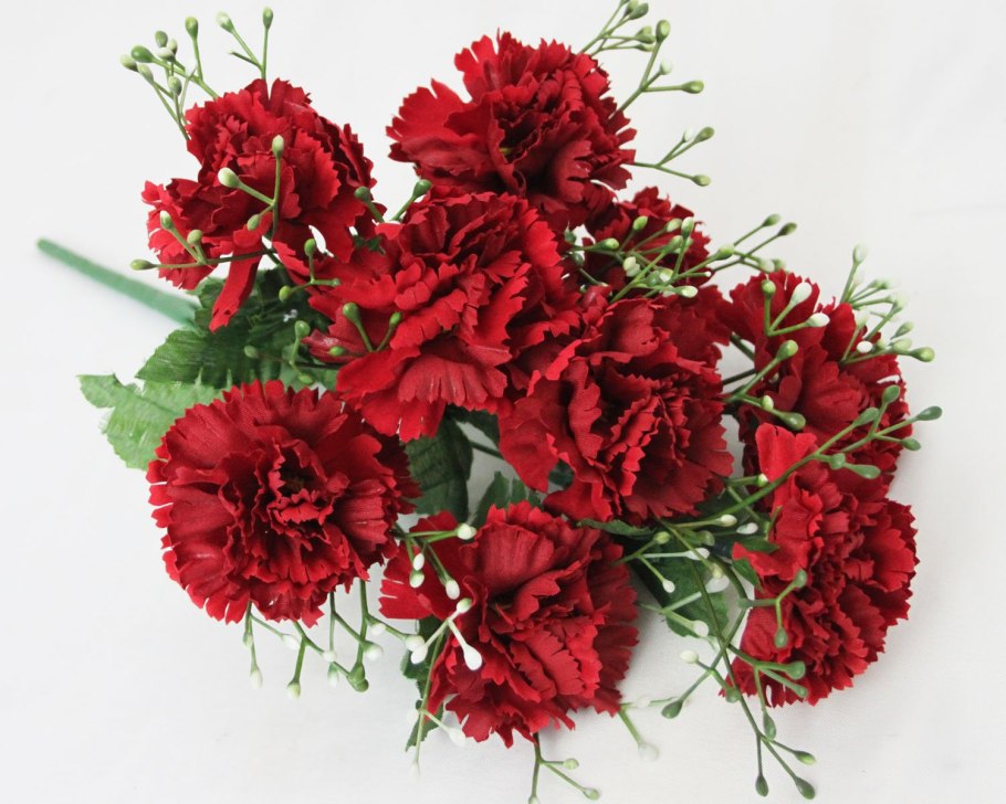 Caryophyllaceae семейство