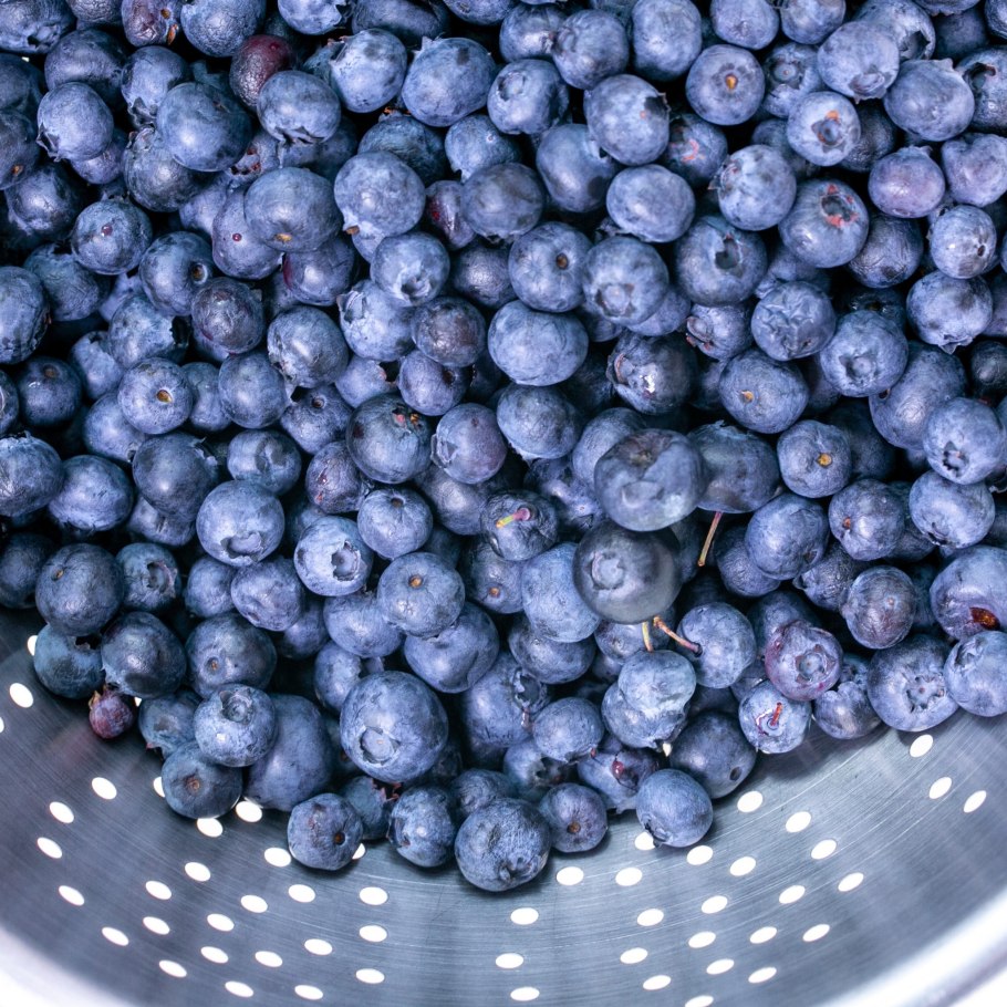 Черничка ягодка голубика