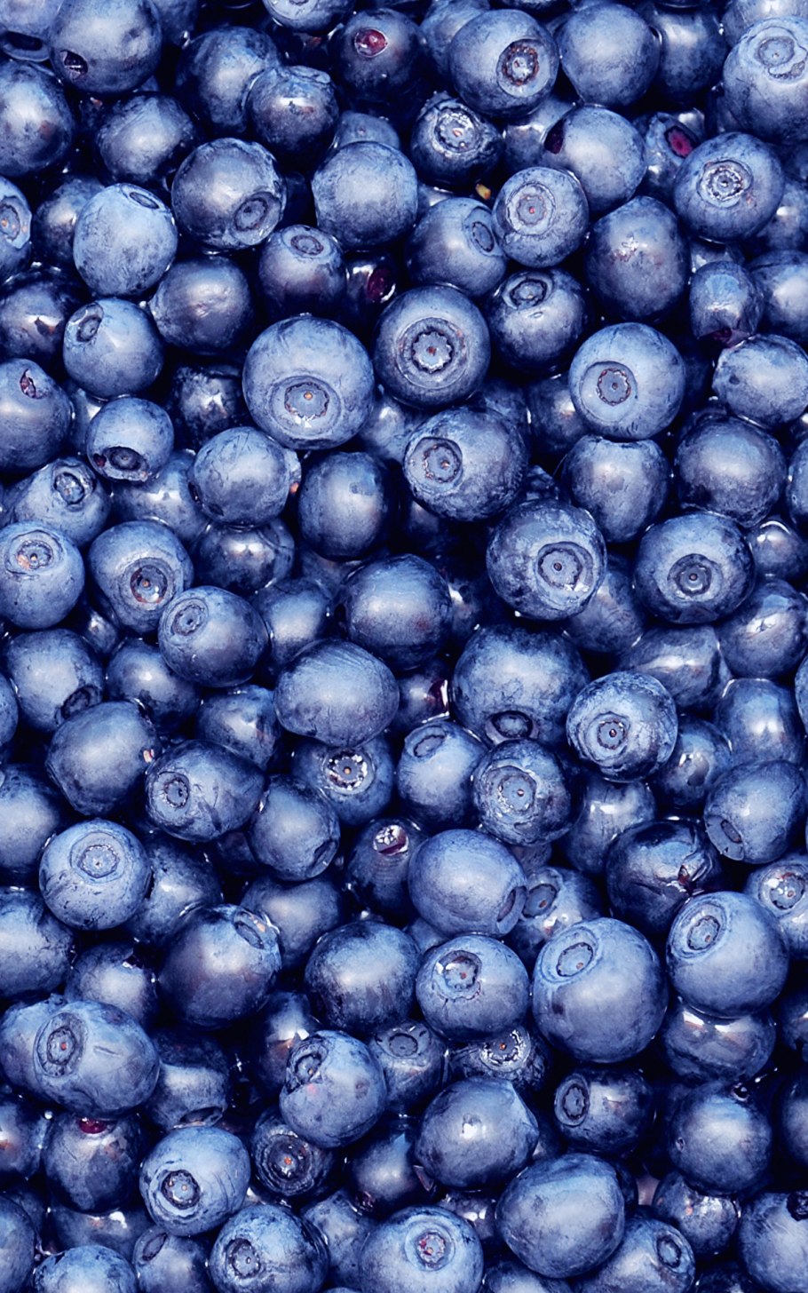 Черника фон