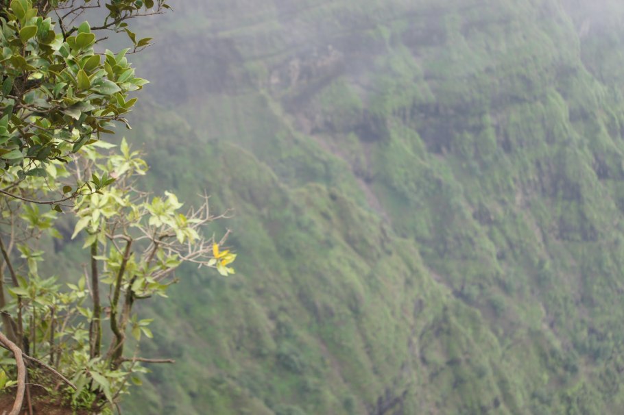 Молекула пиперина