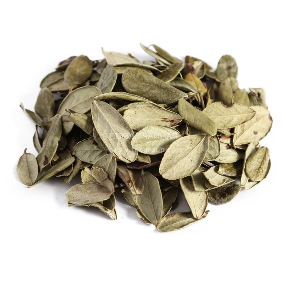 Двускатная теплица Митлайдера чертежи