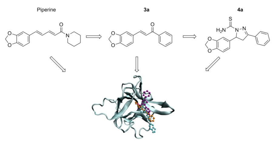 Карбюратор leader pz19jb