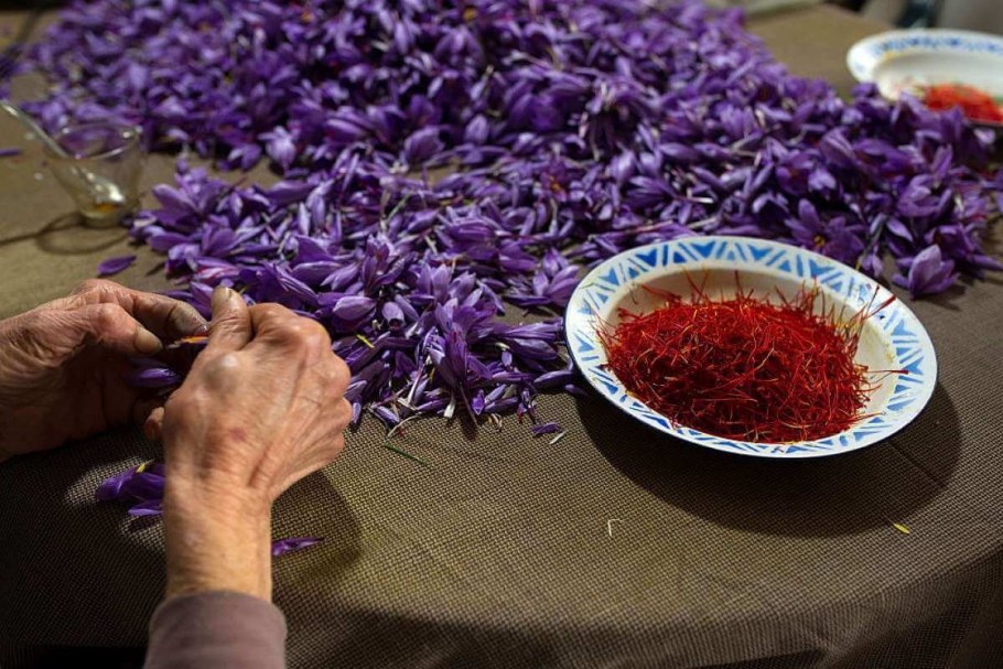 Крокус цветы грунт