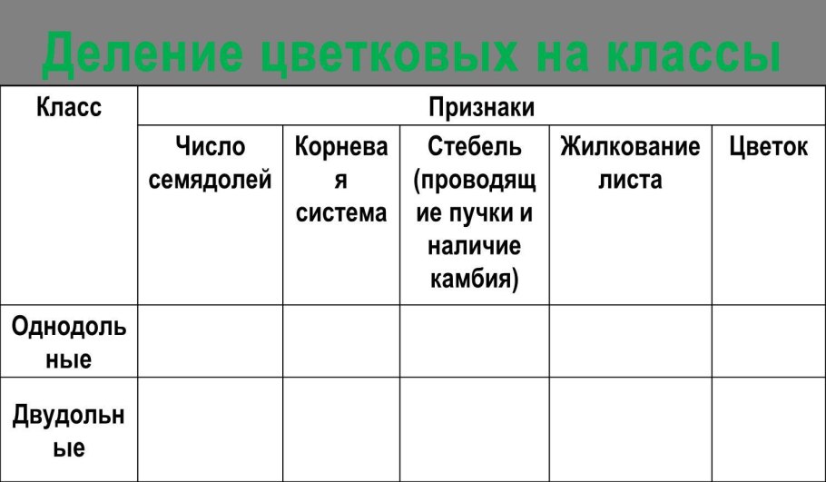 Плоды классификация плодов сочные и сухие плоды