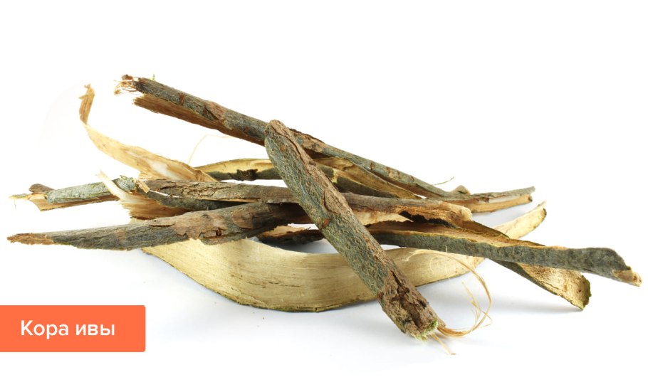 Саликс кора ивы