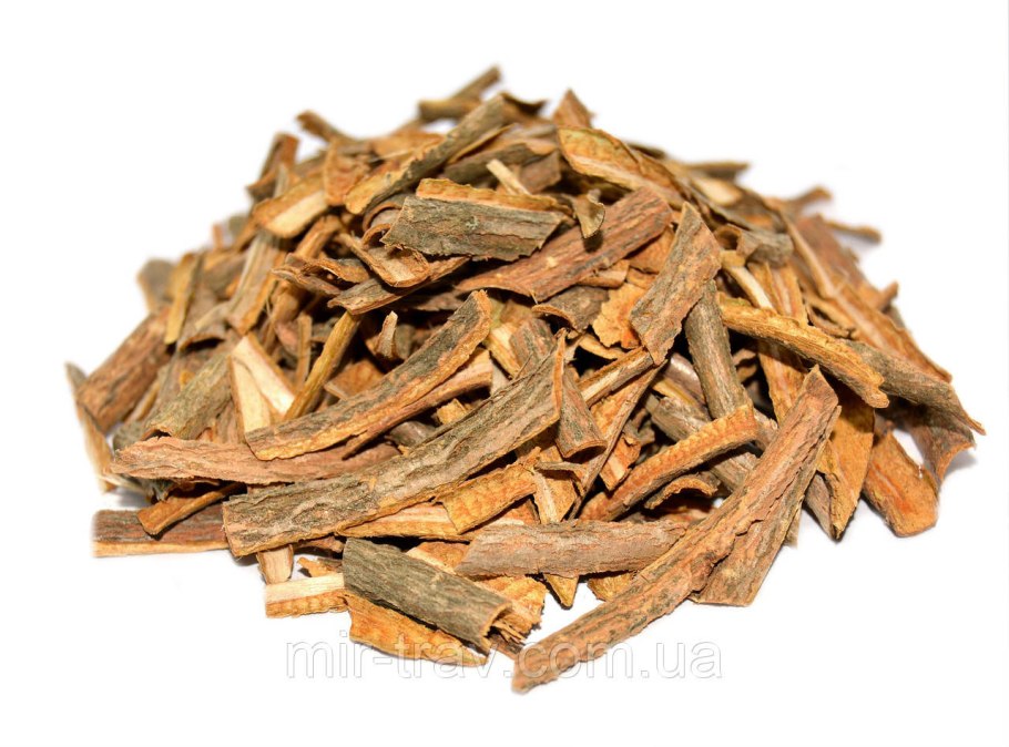 Саликс кора ивы