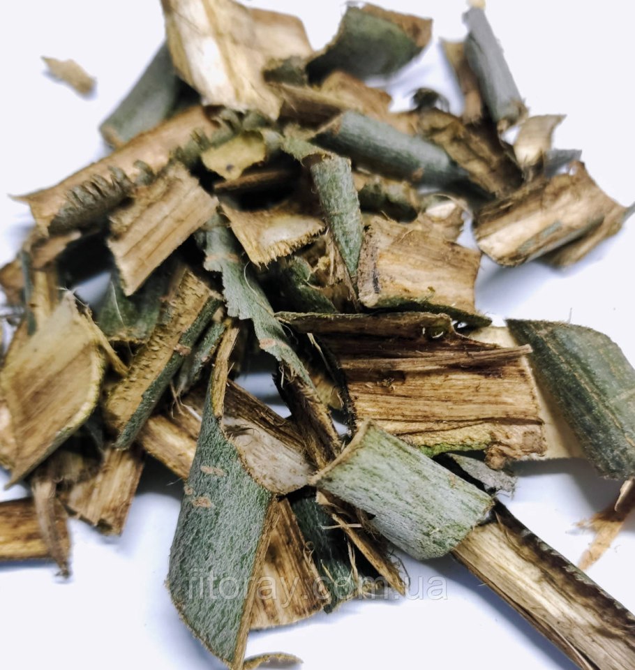 Кора дерева ивы